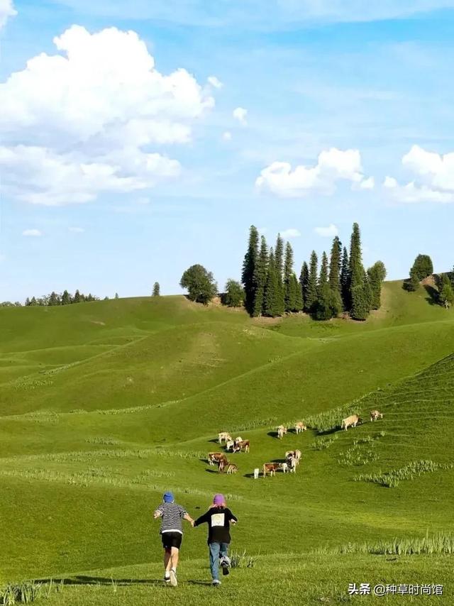 假期旅游攻略自由行(7个好看又好玩的假期旅游地)(31)