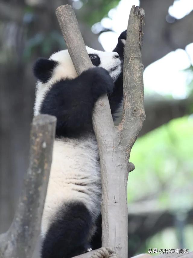 假期旅游攻略自由行(7个好看又好玩的假期旅游地)(120)