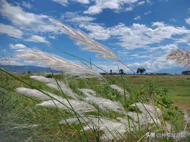 假期旅游攻略自由行(7个好看又好玩的假期旅游地)(53)