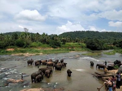 ​到斯里兰卡旅游的签证要求（旅行达人教你怎么玩斯里兰卡）