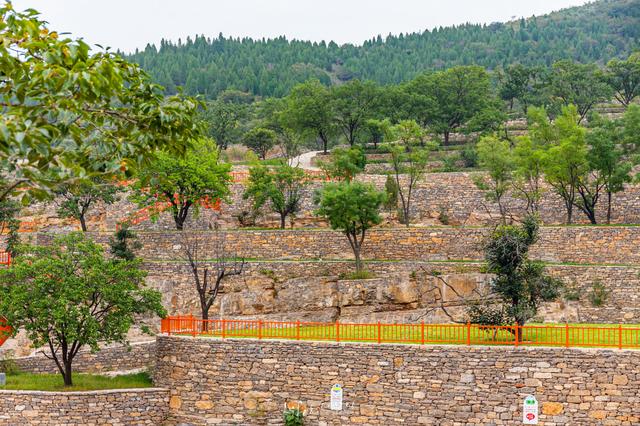 青州旅游攻略必去景点有哪些(山东青州游玩攻略)(81)