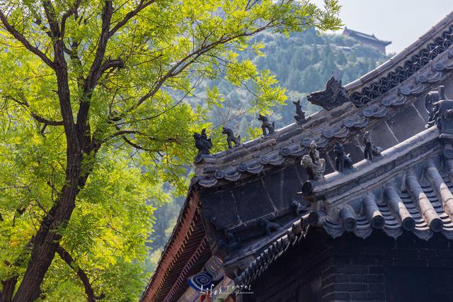 青州旅游攻略必去景点有哪些(山东青州游玩攻略)(20)