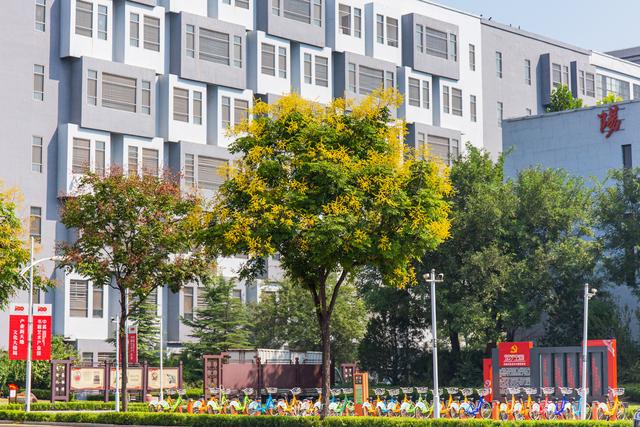 青州旅游攻略必去景点有哪些(山东青州游玩攻略)(16)