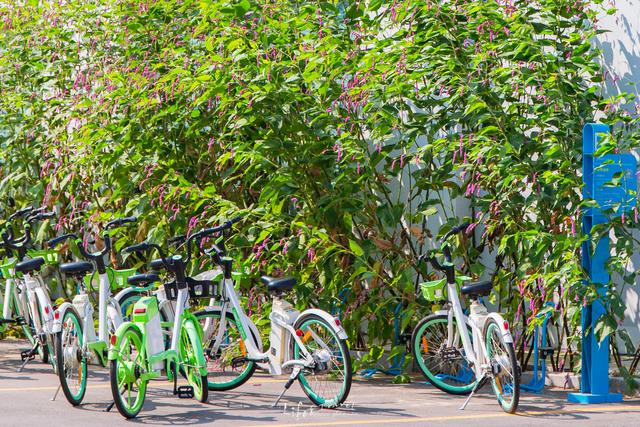 青州旅游攻略必去景点有哪些(山东青州游玩攻略)(10)