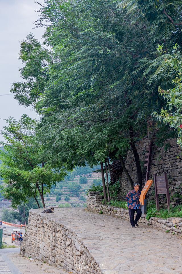 青州旅游攻略必去景点有哪些(山东青州游玩攻略)(78)