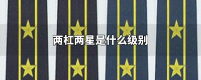 ​二杠三星是什么级别（公安两杠三星是什么级别）