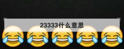 ​233333是什么意思啊（2333333是啥意思）