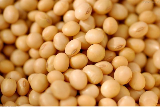 肽能有何功效(肽是什么有啥作用)(4)