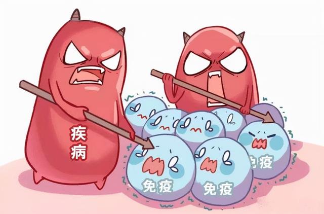 肽能有何功效(肽是什么有啥作用)(3)