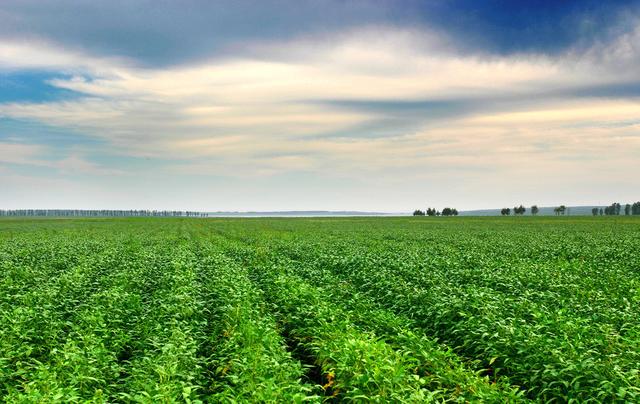 肽能有何功效(肽是什么有啥作用)(5)