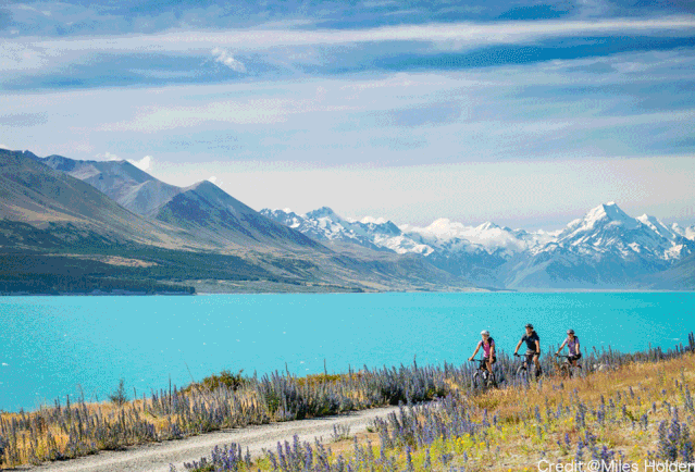 新西兰旅游几月份最佳时期(冬令时夏令时傻傻分不清)(1)