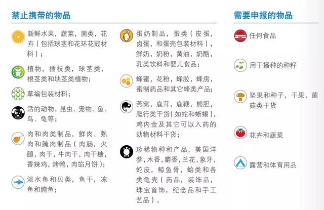 新西兰旅游几月份最佳时期(冬令时夏令时傻傻分不清)(10)