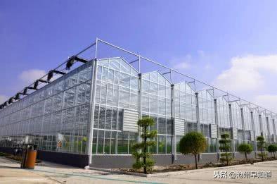 沧州有什么可以游玩的景点(沧州最新最全旅游攻略)(19)