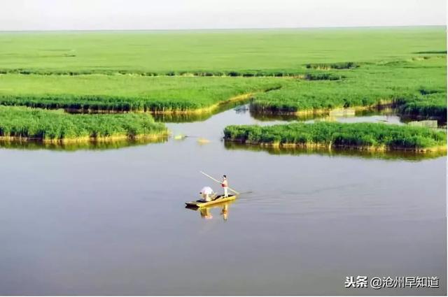 沧州有什么可以游玩的景点(沧州最新最全旅游攻略)(25)