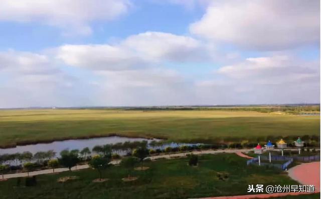 沧州有什么可以游玩的景点(沧州最新最全旅游攻略)(4)