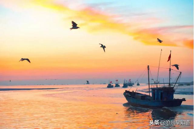 沧州有什么可以游玩的景点(沧州最新最全旅游攻略)(28)