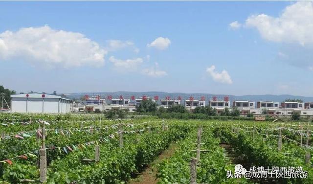 咸阳的著名旅游景点介绍（13区县40多个旅游景区都在这里）(27)