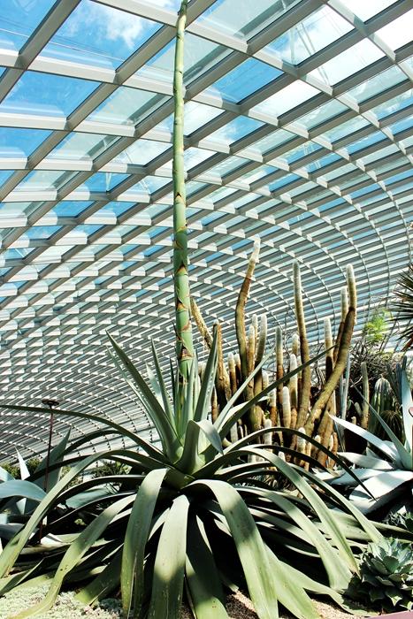 新加坡10大宜居城市(新加坡这座城市的代表之作)(25)