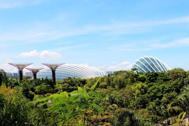 新加坡10大宜居城市(新加坡这座城市的代表之作)(2)