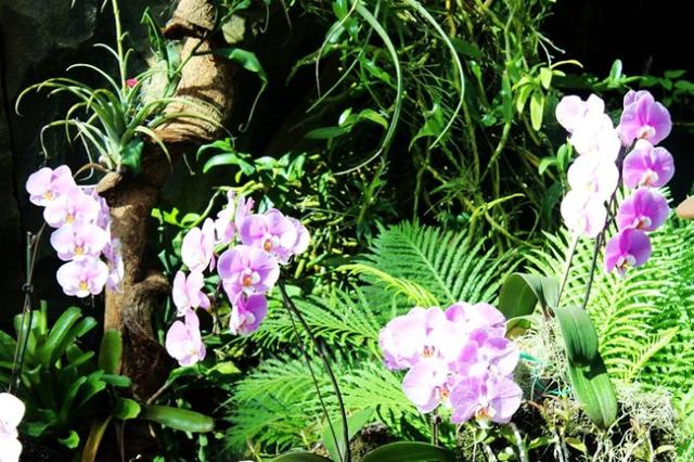 新加坡10大宜居城市(新加坡这座城市的代表之作)(12)