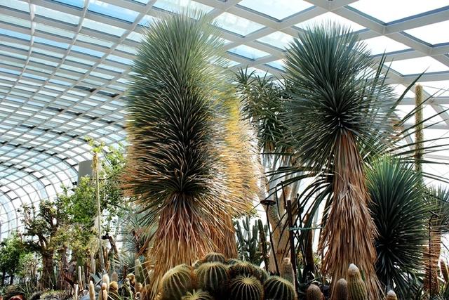 新加坡10大宜居城市(新加坡这座城市的代表之作)(32)