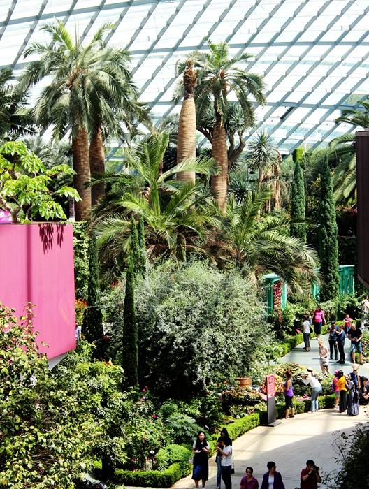 新加坡10大宜居城市(新加坡这座城市的代表之作)(33)
