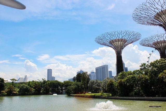 新加坡10大宜居城市(新加坡这座城市的代表之作)(71)