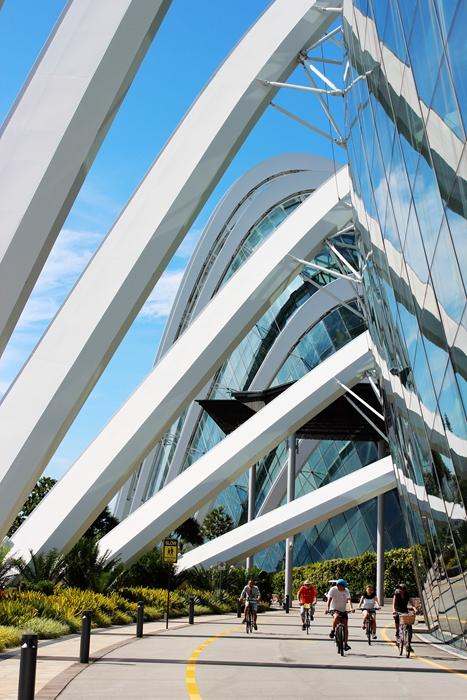 新加坡10大宜居城市(新加坡这座城市的代表之作)(5)