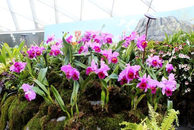 新加坡10大宜居城市(新加坡这座城市的代表之作)(13)