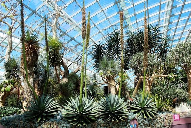 新加坡10大宜居城市(新加坡这座城市的代表之作)(26)