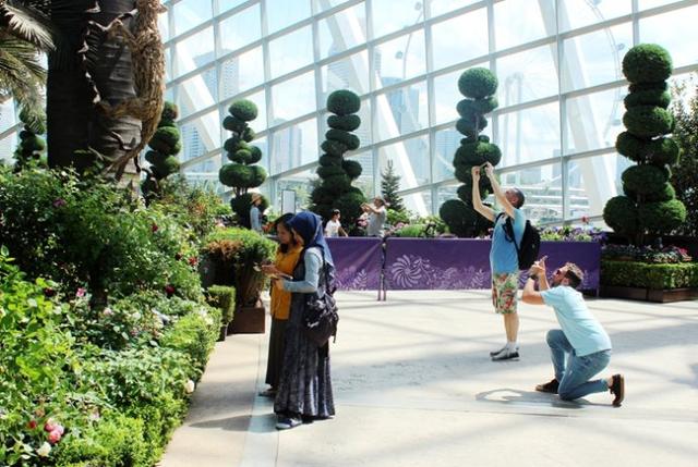 新加坡10大宜居城市(新加坡这座城市的代表之作)(50)