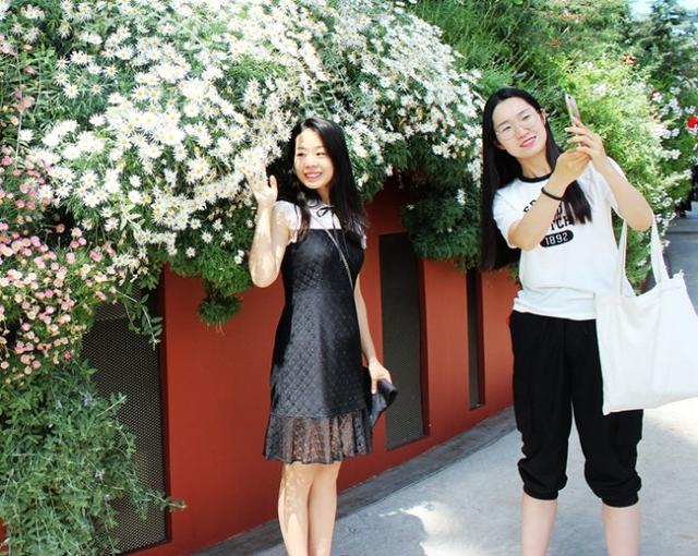 新加坡10大宜居城市(新加坡这座城市的代表之作)(38)