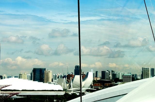 新加坡10大宜居城市(新加坡这座城市的代表之作)(20)