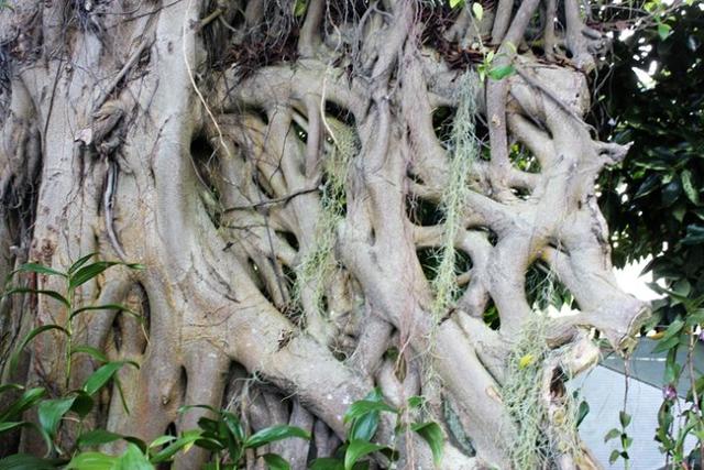 新加坡10大宜居城市(新加坡这座城市的代表之作)(15)