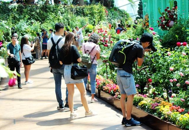 新加坡10大宜居城市(新加坡这座城市的代表之作)(45)