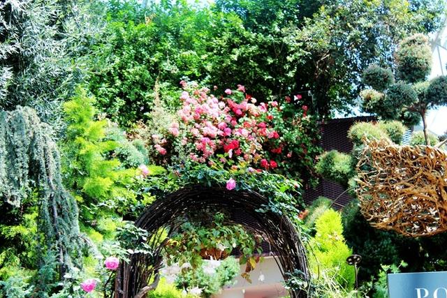 新加坡10大宜居城市(新加坡这座城市的代表之作)(41)