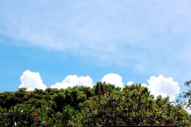 新加坡10大宜居城市(新加坡这座城市的代表之作)(57)