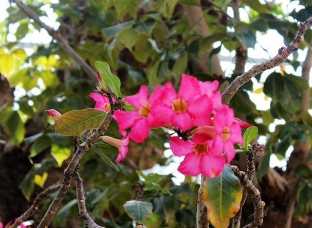 新加坡10大宜居城市(新加坡这座城市的代表之作)(29)