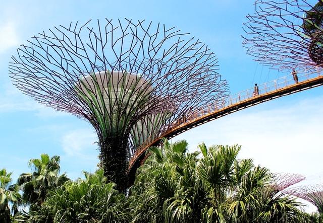 新加坡10大宜居城市(新加坡这座城市的代表之作)(58)