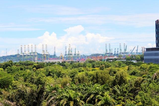 新加坡10大宜居城市(新加坡这座城市的代表之作)(67)