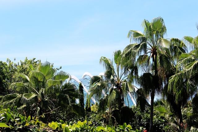 新加坡10大宜居城市(新加坡这座城市的代表之作)(59)