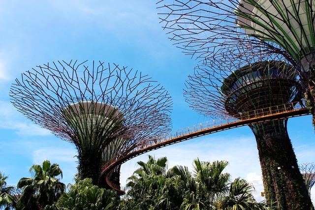 新加坡10大宜居城市(新加坡这座城市的代表之作)(55)