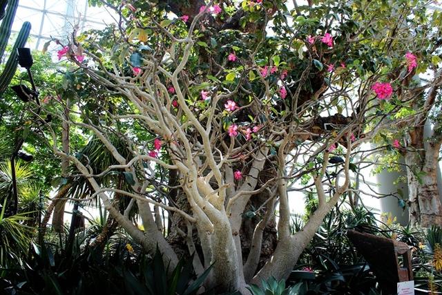 新加坡10大宜居城市(新加坡这座城市的代表之作)(28)