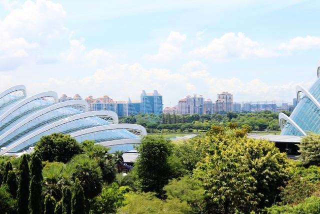 新加坡10大宜居城市(新加坡这座城市的代表之作)(64)