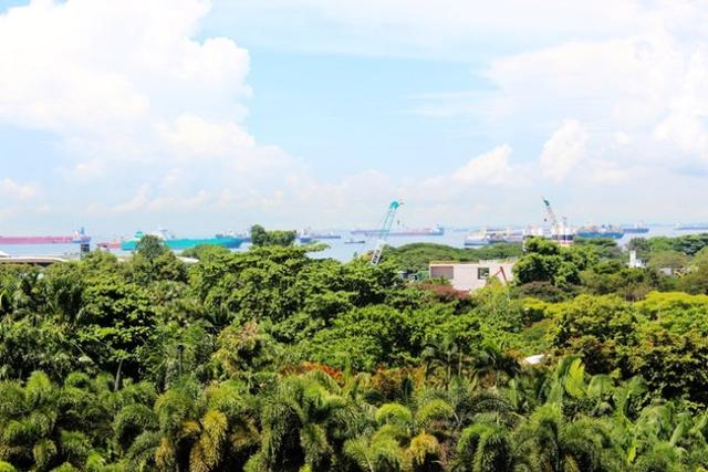 新加坡10大宜居城市(新加坡这座城市的代表之作)(69)