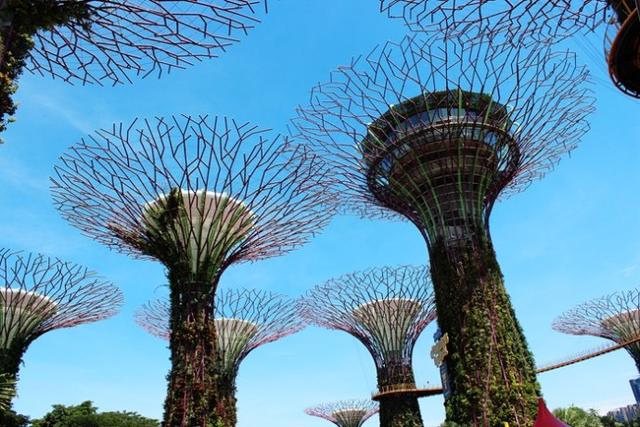 新加坡10大宜居城市(新加坡这座城市的代表之作)(62)