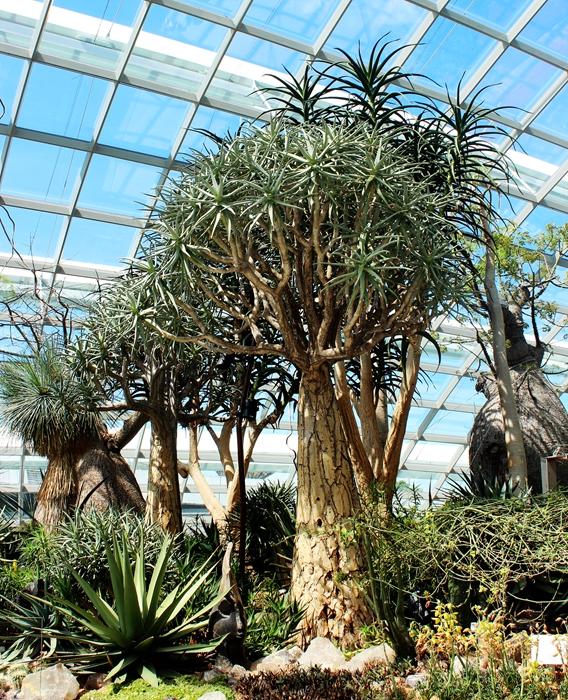 新加坡10大宜居城市(新加坡这座城市的代表之作)(27)