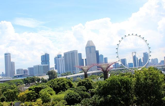 新加坡10大宜居城市(新加坡这座城市的代表之作)(63)