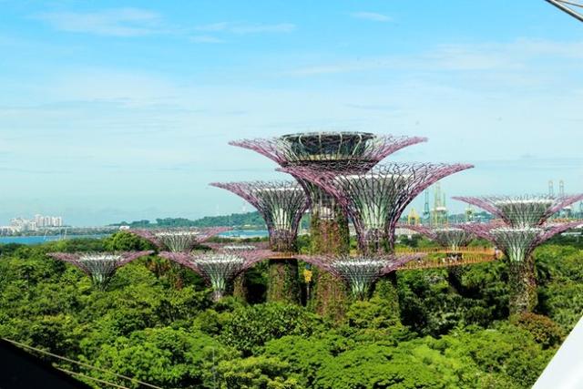 新加坡10大宜居城市(新加坡这座城市的代表之作)(19)