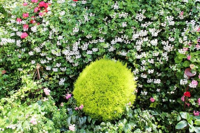 新加坡10大宜居城市(新加坡这座城市的代表之作)(43)